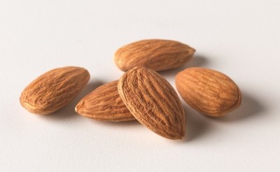 Science strengthens prebiotic potential of almond skins