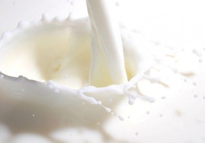 FAO-recommended method demonstrates dairy protein 'superiority' - IDF