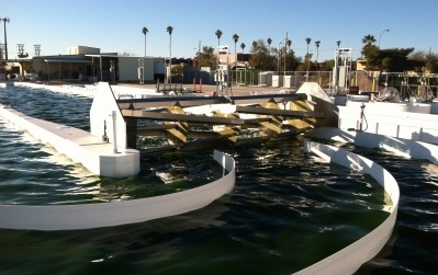 Arizona center emerges as hotbed of algae innovation