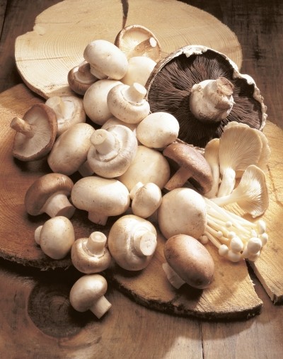 New vegan D2 ingredient from mushrooms enters market