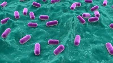 Research raises questions about synbiotic definitions, says probiotics firm. 