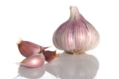 Aged garlic reduces cold and flu severity: RCT data