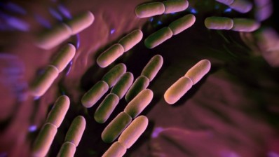 Gut bacteria play vital role in benefits and harms of different fats: Mouse data