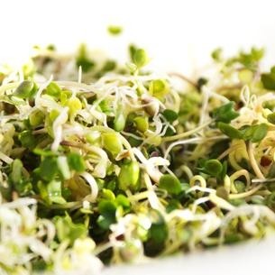 HiActives powdered broccoli sprouts maintain nutritional potency: Futureceuticals