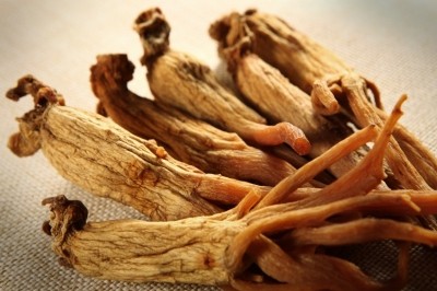 Groups devoted to legal ginseng trade blast History Channel show glorifying poaching