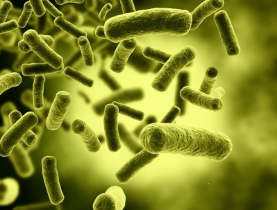 LGG may ‘transiently’ boost anti-inflammatory functions in the gut microbiota: Human data