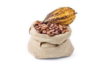 Do younger people respond better to the cardiovascular effects of cocoa flavonoids?