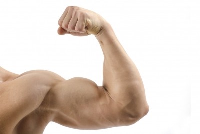 L-alanyl-L-glutamine may reduce muscle protein breakdown after resistance exercise