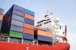Port strike creating botanical 'fulfillment panic,' supplier says