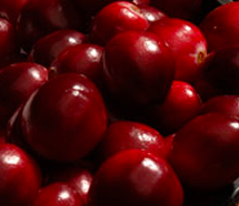Work on cranberry helped research manager bridge university/industry divide