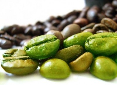 Taiyo carves out niche in natural caffeine market with slow-release whole green coffee bean ingredient