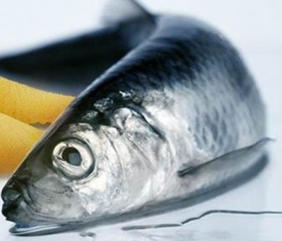Demand from fish farms drives crude fish oil prices higher