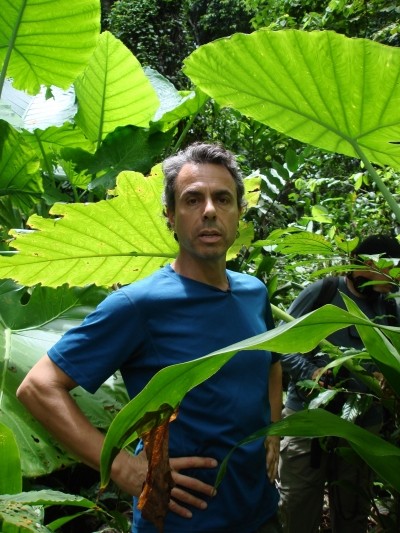 The medicine hunter: ‘I help to establish trade in plants’