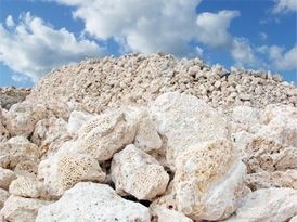 Coral LLC claims to be the largest supplier of Caribbean and Okinawa 'above sea' coral in the world, supplying coral calcium to more than 20 countries.