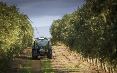 Australian olive oil giant Boundary Bend Wellness says the mechanization of its orchards helps it to produce better standardized leaf extracts.  Boundary Bend photo,