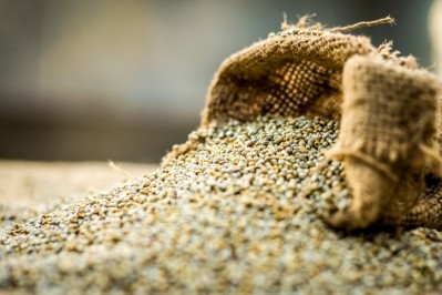 Brazil’s next big grain? Researchers propose pearl millet as an alternative to rice and maize