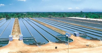 The original Parry Nutraceuticals algae farm is located in Tamil Nadu, India.  Valensa photo.