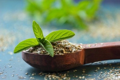 Natural Remedies adds Holixer holy basil to botanicals portfolio   