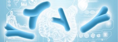 Akkermansia muciniphila shows potential as probiotic in clinical trials