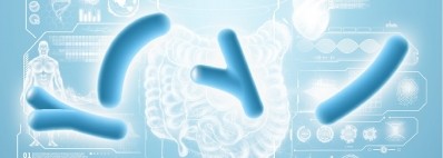 Akkermansia muciniphila shows potential as probiotic in clinical trials