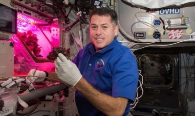 Astronaut Shane Kimbrough in front of the 'Veggie' chamber on the ISS in November 2016. Credit: NASA