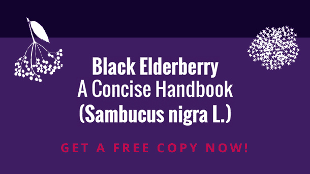 Black Elderberry (Sambucus nigra L.): A Concise Handbook