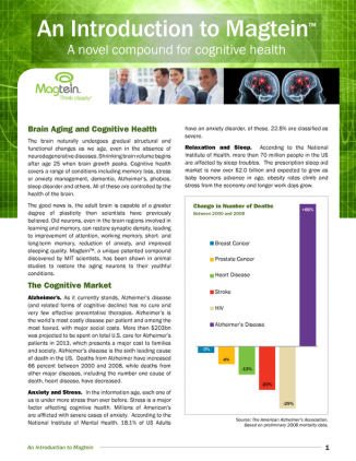 New FDA GRAS brain magnesium technical brief and clinical research review