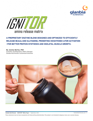 Add muscle to your next breakthrough product with IGNITOR™