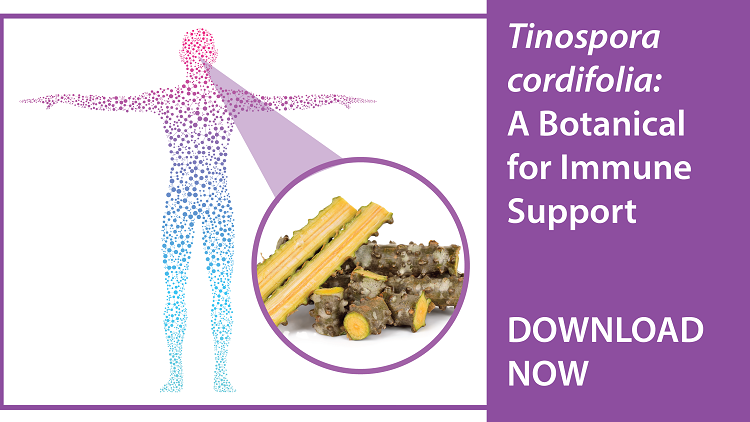 Tinospora cordifolia: A botanical approach to immune health