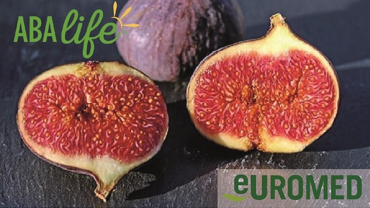Fig fruit extract promising for sugar metabolism