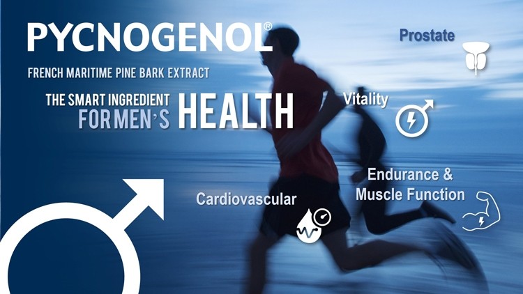 Pycnogenol®: Emerging Health Benefits for Men