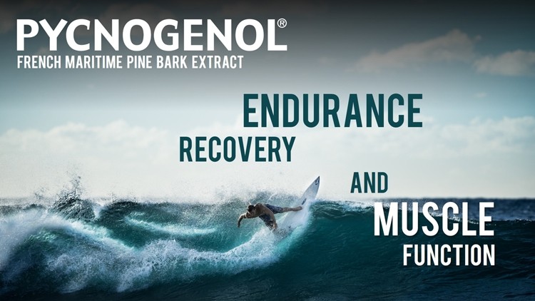 Pycnogenol® Supports Fitness and Muscle Recovery