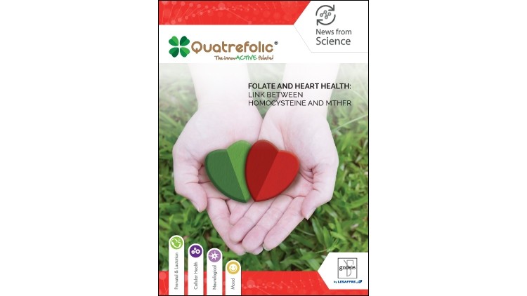 Quatrefolic®: the Active Folate that supports Heart health!