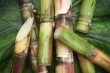 Policosanol is an ingredient derived from sugarcane