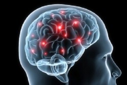 Study elucidates threonate's role in magnesium transport in brain