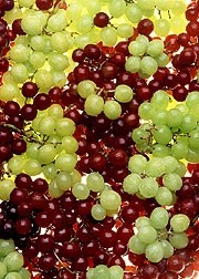 Grape polyphenols backed for MetS benefits
