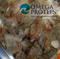 Omega Protein faces fines after worker death