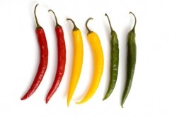 OmniActive study: Capsaicinoids reduce body circumference and appetite