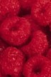 Raspberry extracts show joint health potential: Rat study