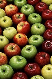 Polyphenol-rich apple juice shows obesity benefits