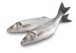 Scoular to market fish collagen ingredient in U.S.