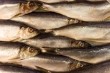 Omega Protein's Atlantic menhaden catch to be cut by 20%