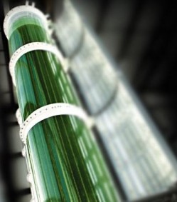 Unlike the heterotrophic process of growing microalgae via fermentation in large steel vats and feeding it with sugar-based feedstocks, BioProcess Algae grows its algae via photosynthesis in biofilms exposed to light and uses waste heat and carbon dioxide from co-located ethanol production facility in Iowa.
