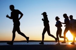 Gut microbiota influence on endurance exercise analyzed in new review
