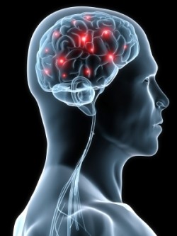 Low B12 levels may boost brain shrinkage: Study
