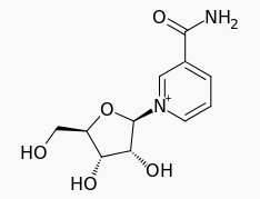 The nicotinamide riboside molecule