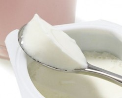 Probiotic strains in the gut increase with probiotic yoghurt but no overall change in microbiota