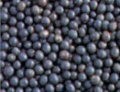 An internet sensation? Review says there is "insufficient and unconvincing" evidence for the benefits of acai