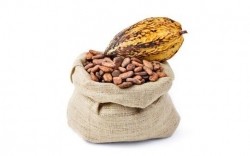 Theo Innovations debuts flavanol-rich cocoa extract