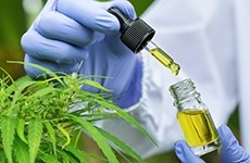 The Emerging Science of Cannabis and CBD